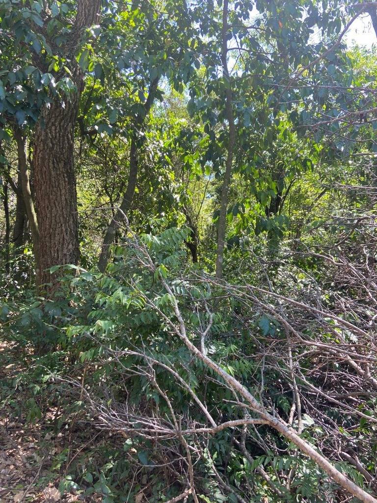 VENDO TERRENO CON ARROYITO EN URBANIZACIÓN EL CORTIJO SAN BERNARDINO — foto 2