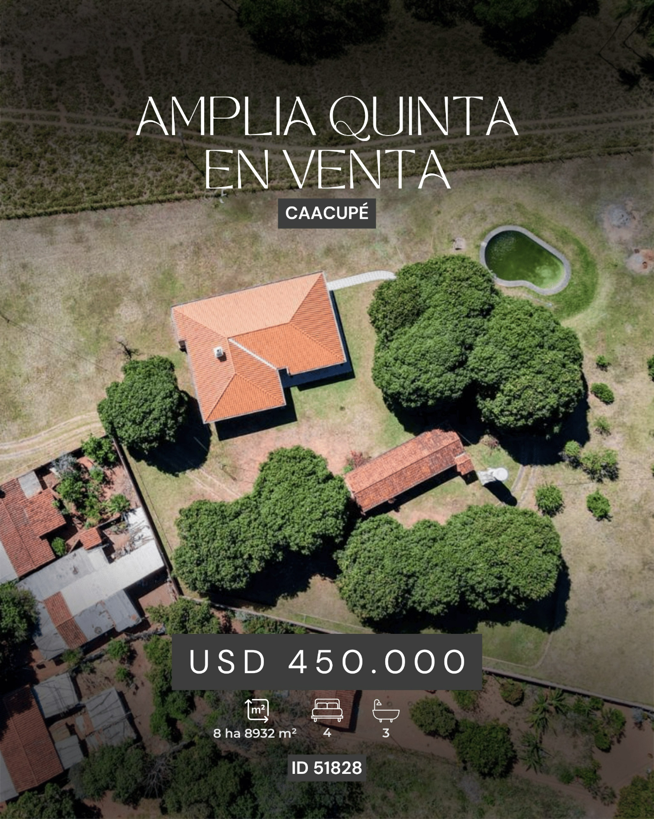 Amplia Quinta en Venta — foto 3
