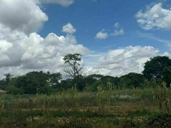 4 TERRENOS JUNTOS A 550 METROS DE LA RUTA INTERNACIONAL| PROPIEDAD EN ESQUINA — foto 2
