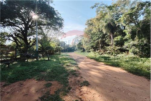 VENDO TERRENO EN EL CORTIJO — foto 2