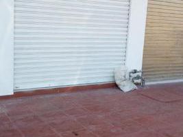 Para Tienda De Baterias