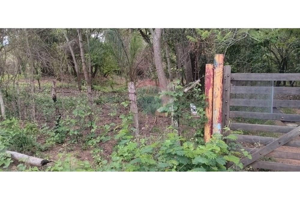 VENDO 4 HECTAREAS EN SAN BERNARDINO — foto 2