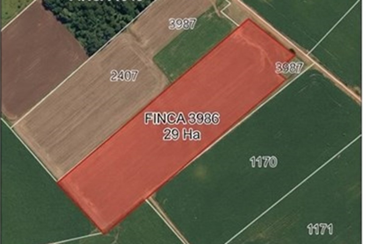 Vendo TERRENO en PIRAPÓ, ITAPÚA — foto 3