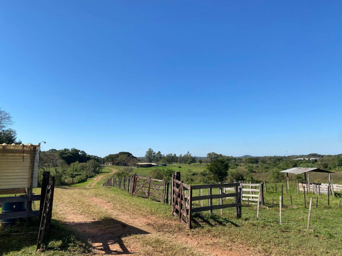 VENDO 24 HECTÁREAS EN ISLA BOGADO - LUQUE — foto 3