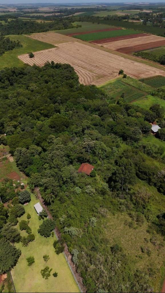 10 Hectareas en Tomas Romero Pereira — foto 2