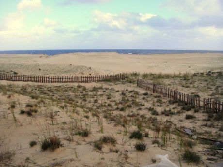 Hermoso Terreno En Punta Rubia Con Frente A La Rambla