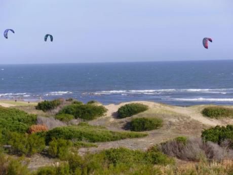 Apartamentos En Playa Brava: Mgi815a
