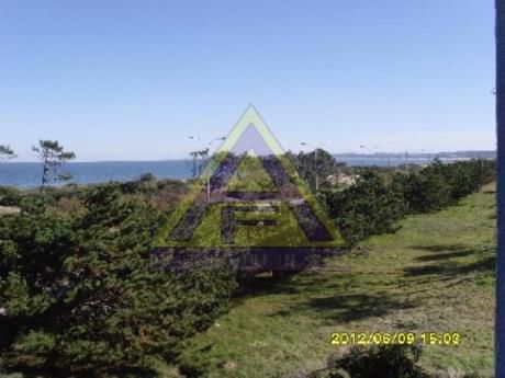 Apartamentos En Playa Mansa: Mci693a