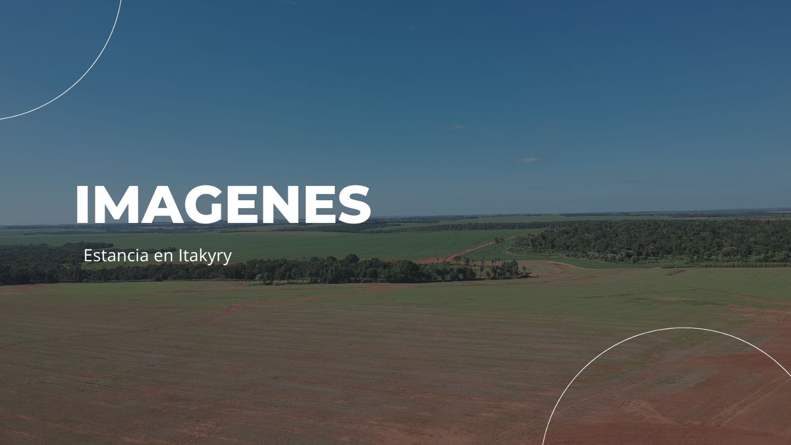 Vendo Amplia Estancia de 3.528 Hectáreas en Itakyry, Alto Paraná - CLCS7666740 — foto 2