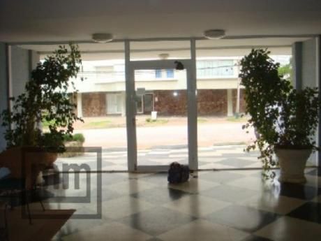Apartamentos En Playa Brava: Mym3058a