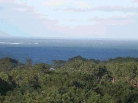 Apartamentos En Playa Mansa: Mym641a