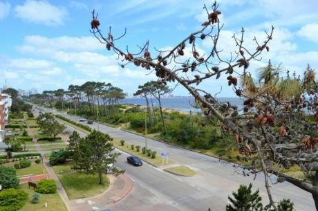Apartamentos En Playa Mansa: Ocm643980a