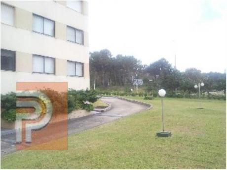Apartamentos En Roosevelt: Plg2438a