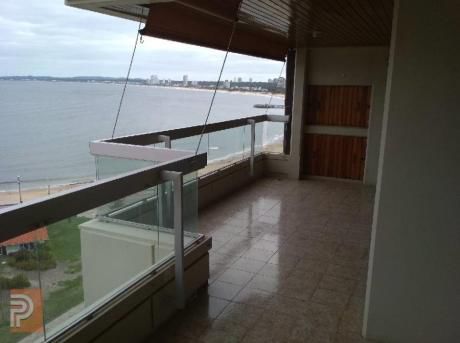 Apartamentos En Playa Mansa: Plg2487a