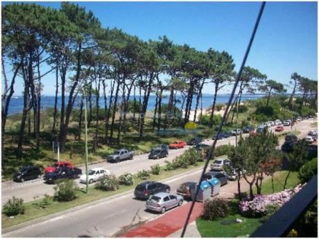 Apartamentos En Playa Mansa: Pla472a