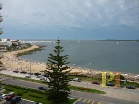 Apartamentos En Playa Mansa: Pti1001a