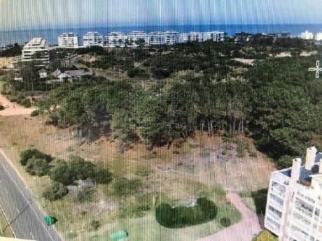 Terrenos En Playa Brava: Smn3t
