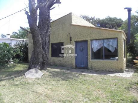 Casas En Punta Del Este: Tbp29c