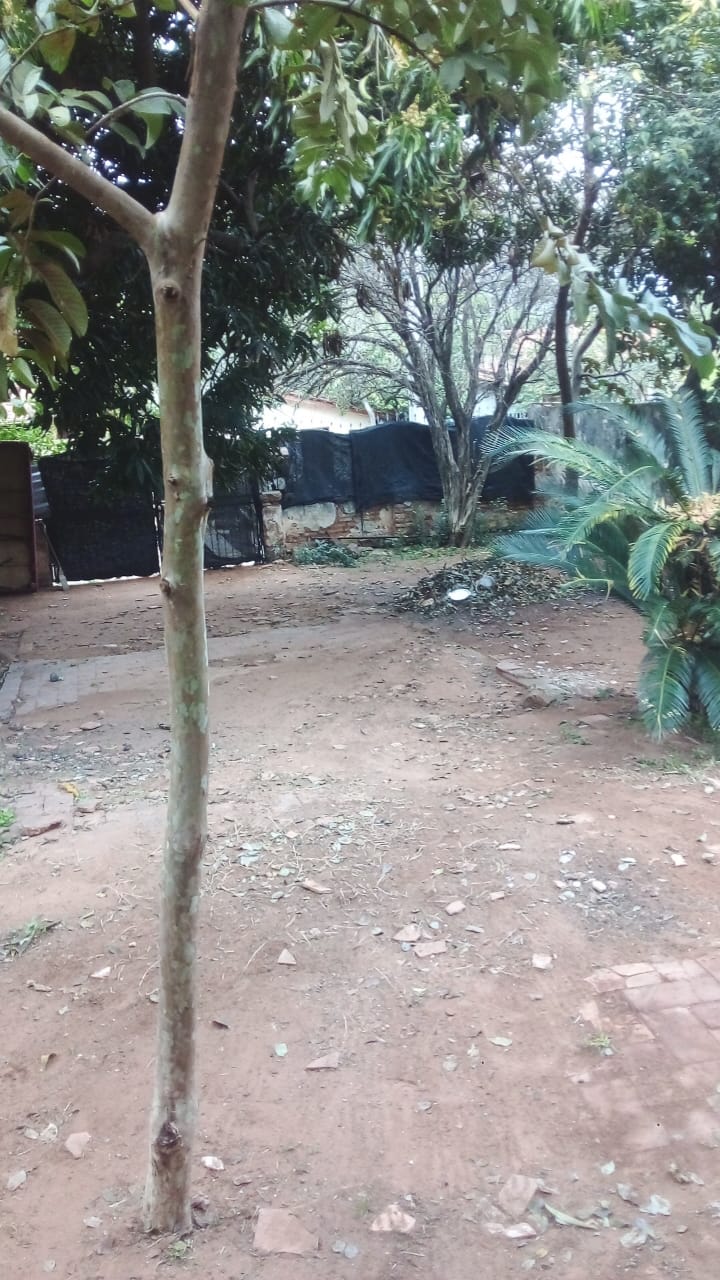 Terreno en venta en Lambaré — foto 2