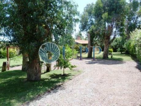 Casas En Pinares: Upp113c