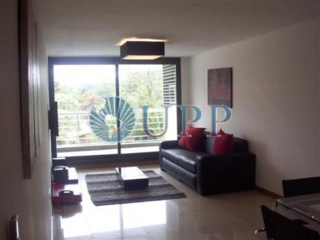 Apartamentos En Roosevelt: Upp256a