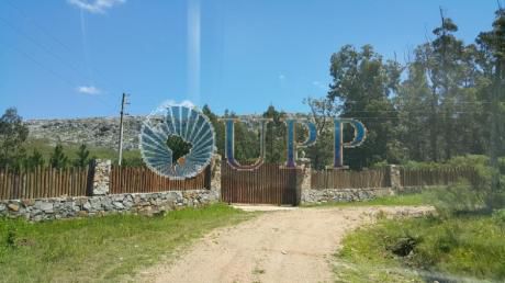 Chacras / Campos En Punta Del Este: Upp310h