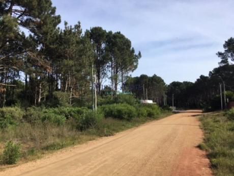 Terrenos En Pinares: Vaz5600t