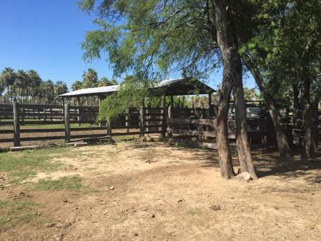 Tierra Inmobiliaria - Hermosa Estancia En Bajo Chaco!!