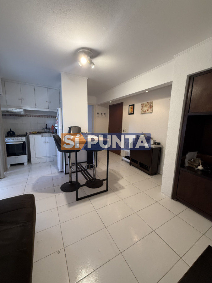 Apartamento 1 dormitorios con parillero y garage punta del este