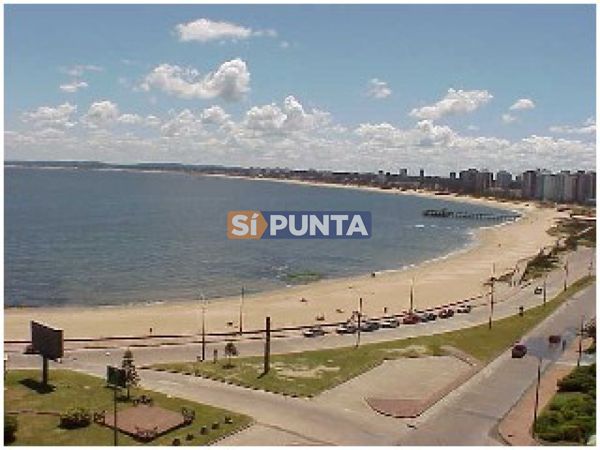 Apartamento en alquiler anual Playa Mansa