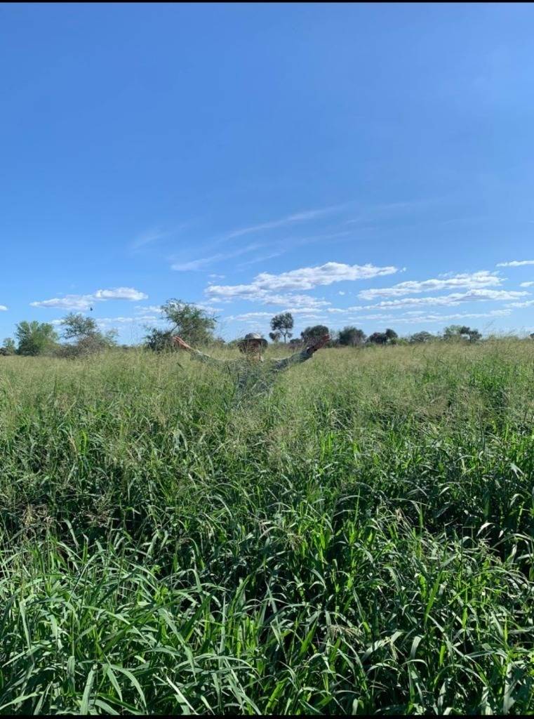 VENDO ESTABLECIMIENTO GANADERO EN MARISCAL ESTIGARRIBIA — foto 2