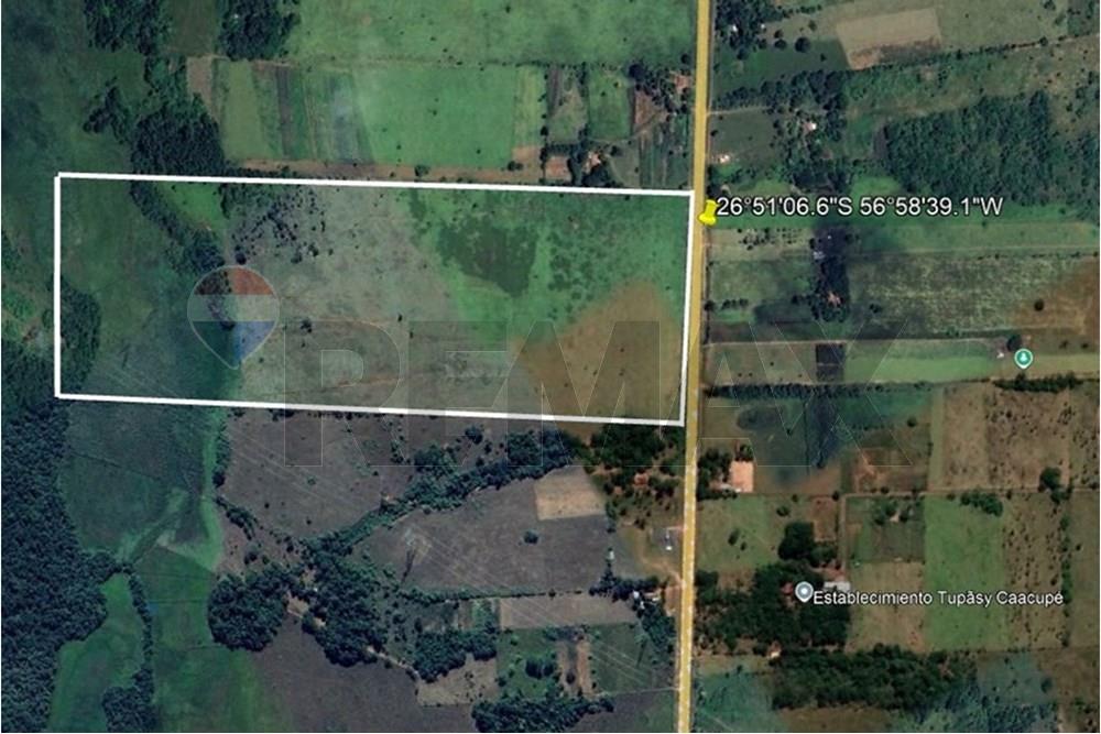 VENDO 30 HECTAREAS PRODUCTIVAS EN MISIONES — foto 3
