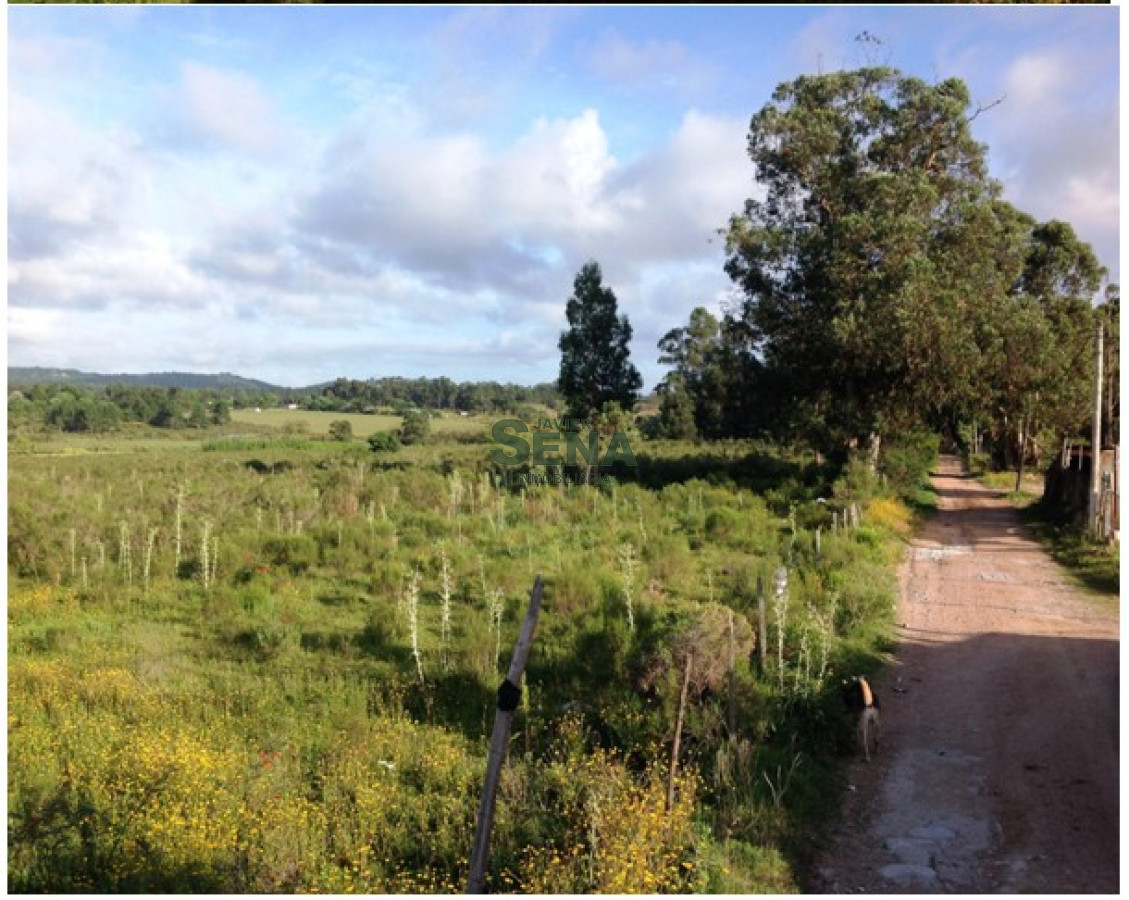 Alquiler de casa el Cortijo, 3 dormitorios, 2 baños, preciosos lugar para descansar. · Foto 6