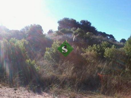 Punta Ballena, Cerca Del Mar.