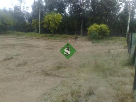 Parque Burnett, Muy Lindo Terreno.