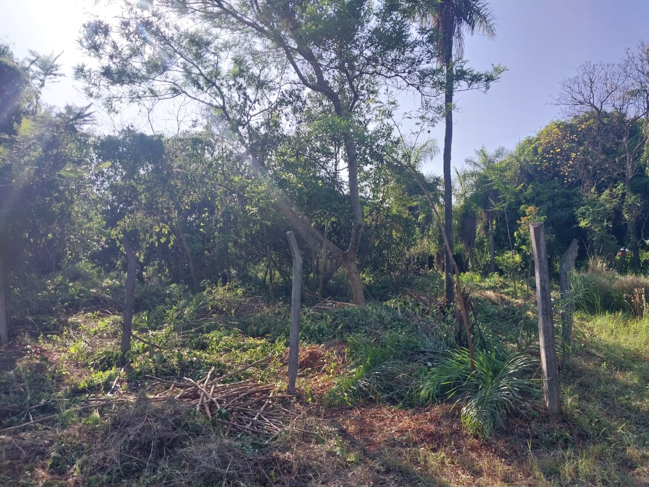 VENDO 2 TERRENOS JUNTOS EN AREGUA PINDOLO — foto 2
