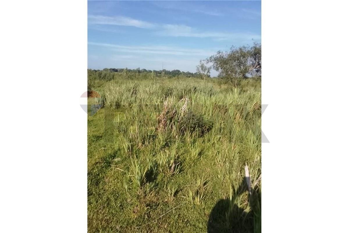 Terreno - Venta - Coronel Bogado, Itapúa, Paraguay — foto 3