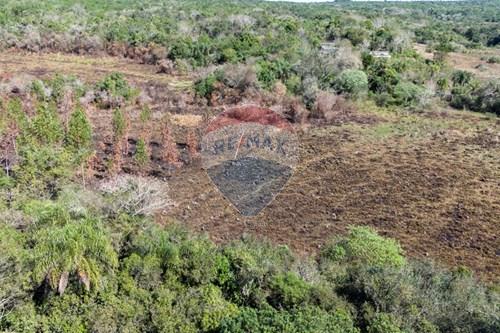 Terreno - Venta - Piribebuy, Cordillera, Paraguay — foto 3