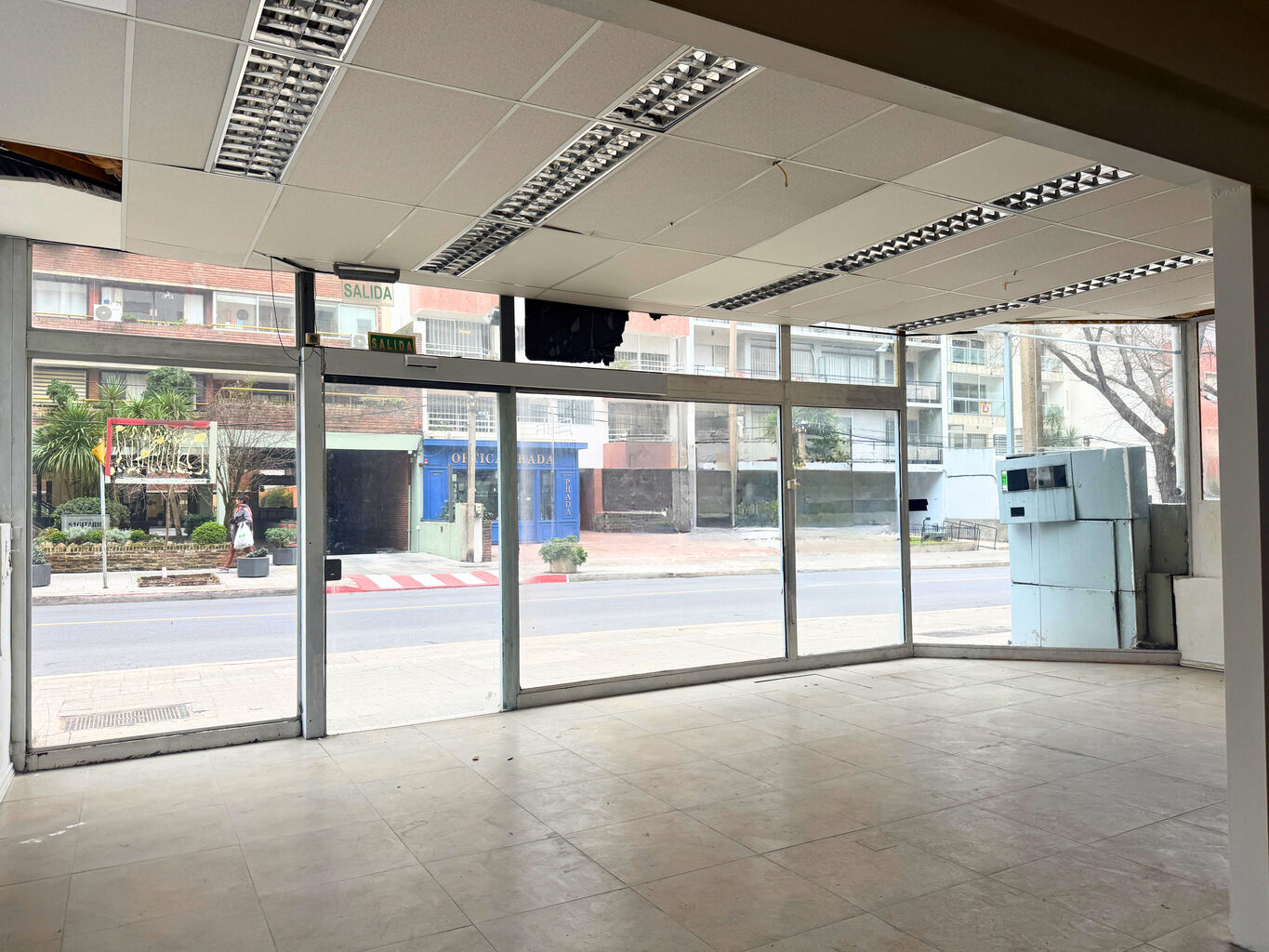 Alquiler local comercial en Punta Carretas · Foto 3