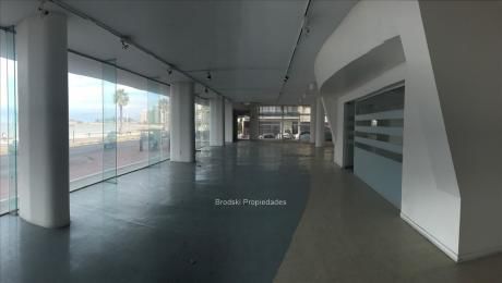 Alquiler Pocitos Rambla Local Comercial 29 Mts De Frente
