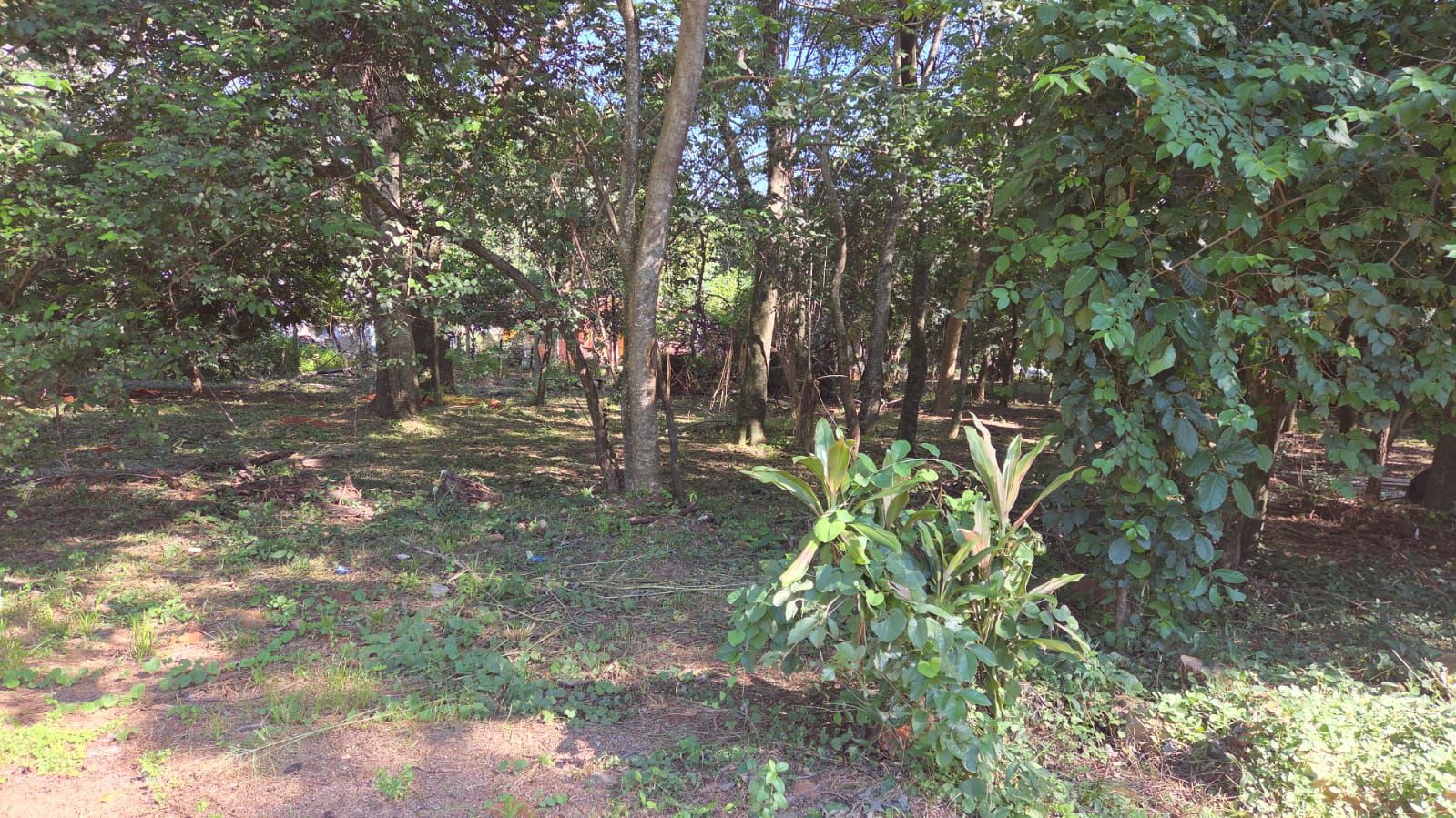 Vendo terreno en San Bernardino — foto 2