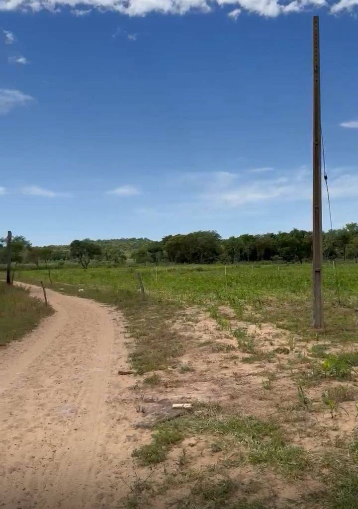 VENDO GRANJA EN CAACUPE DE 48 HECTAREAS — foto 2