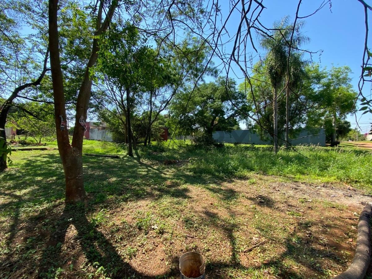 VENDO 3 TERRENOS A UNA CUADRA DE RUTA LUQUE-LIMPIO - foto 3