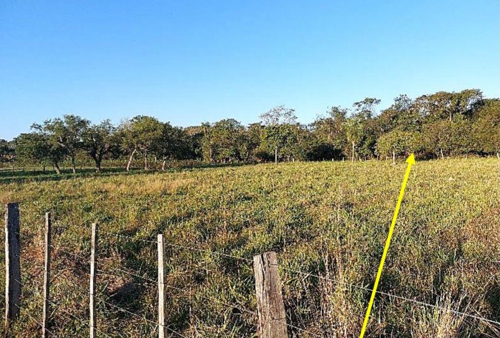 Terreno en Arroyos y Esteros — foto 3