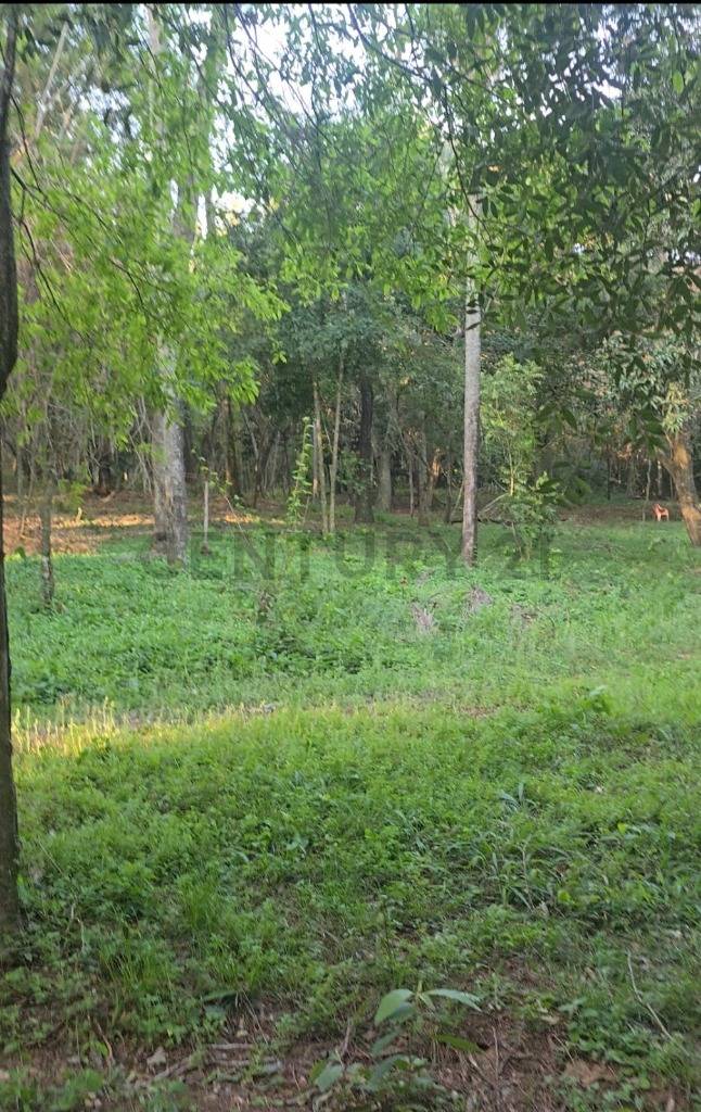 Venta de Terreno en San Bernardino, Cordillera — foto 2