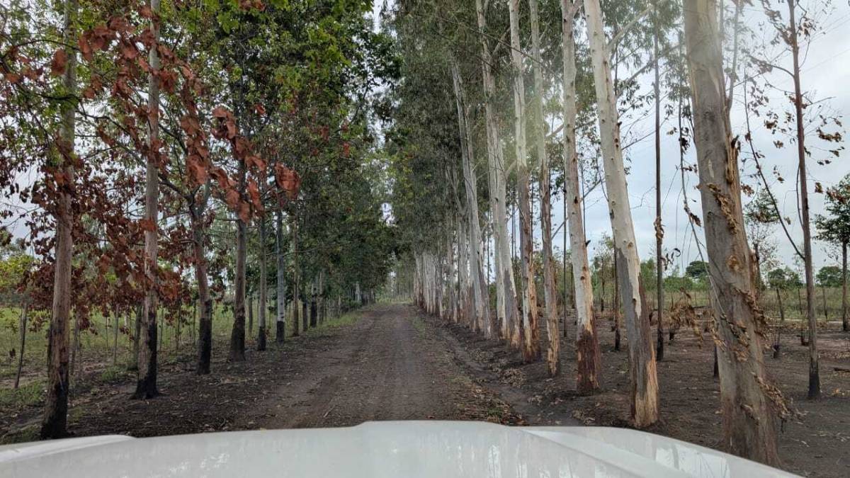 Vendo propiedad rural — foto 2