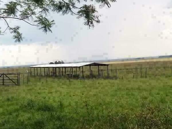 ???? VENTA DE 285 HECTÁREAS - SAN MIGUEL, MISIONES ???? — foto 3