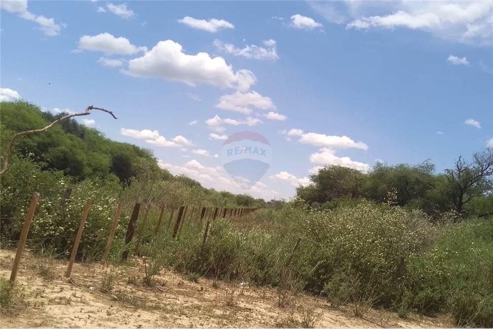 VENDO CAMPO EN BOQUERON ZONA FRONTERA CON ARGENTINA 8.141 HAS — foto 3