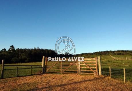 Chacras Ch019 (ch019)