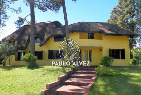 Cocueto`s (173)